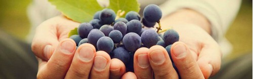 Tour e racconti di gusto